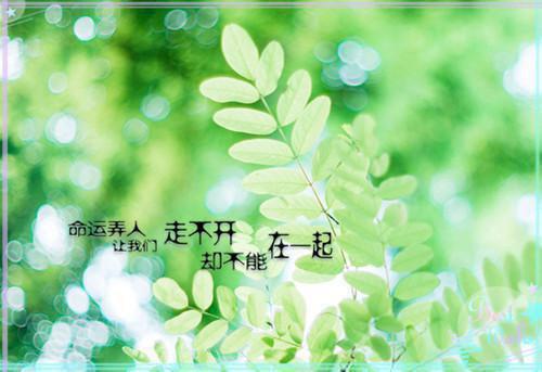 (番外)+(结局)(余生来世不相见:结局+番外)邹凯宁秋棠:结局+番外(余生来世不相见:结局+番外)(邹凯宁秋棠)全文免费阅读无弹窗大结局_(邹凯宁秋棠:结局+番外)最新章节列表_笔趣阁(邹凯宁秋棠)