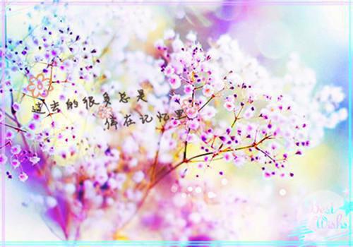 唐清时周晁孟恬恬全文免费阅读（反击之光小说）全文在线唐清时周晁孟恬恬读无弹窗大结局_（反击之光小说唐清时周晁孟恬恬）反击之光小说最新章节列表_笔趣阁（唐清时周晁孟恬恬）
