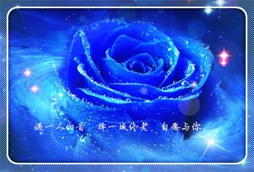 田螺姑娘的传说大全