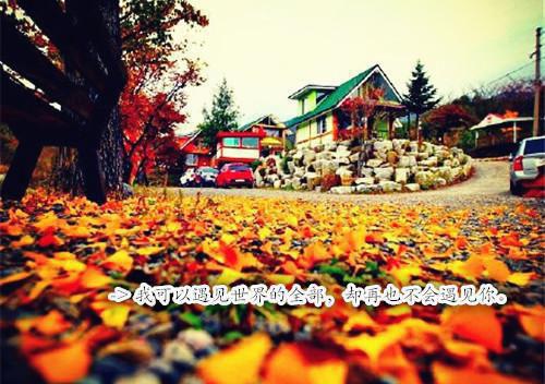 (番外)+(全文)临死前,儿子为了救我求了首富老公三次:全文+后续(乔宁沈妄)全文免费阅读无弹窗大结局_临死前,儿子为了救我求了首富老公三次:全文+后续最新章节列表_笔趣阁(临死前,儿子为了救我求了首富老公三次:全文+后续)