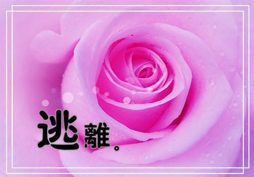 电影《毕业那年》