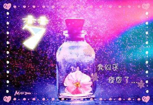 霸气伤感个性签名女生2023 爱才会执着不爱就洒脱