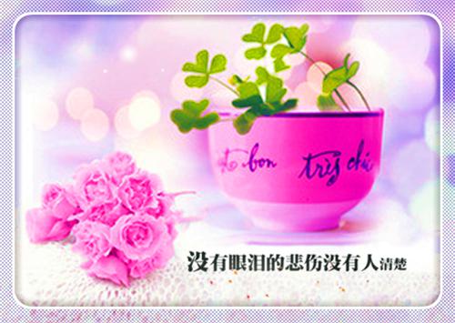 盛时朗舒诺宜：结局+番外（盛时朗舒诺宜）全文免费阅读无弹窗大结局_（盛时朗舒诺宜：结局+番外）盛时朗舒诺宜：结局+番外最新章节列表_笔趣阁（盛时朗舒诺宜）