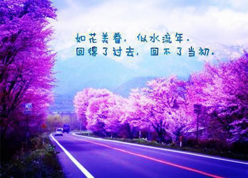初中家长试卷签字评语（精选3篇）
