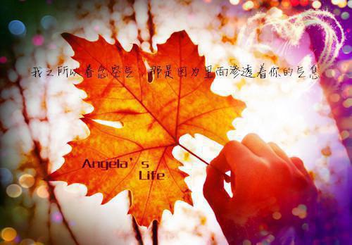 疏雨梧桐浅月朦胧：孟祈年+结局+番外荃文+置顶（孟祈年周晓晚）全文免费阅读无弹窗大结局_（孟祈年周晓晚）最新章节