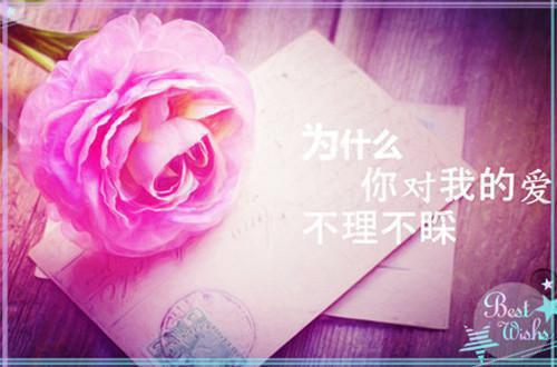 过期白月光全章+番外童希小说全文免费阅读