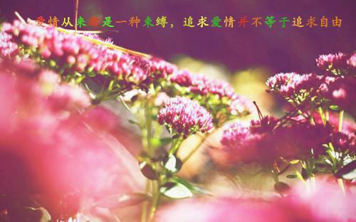 忧愁思绪的散文