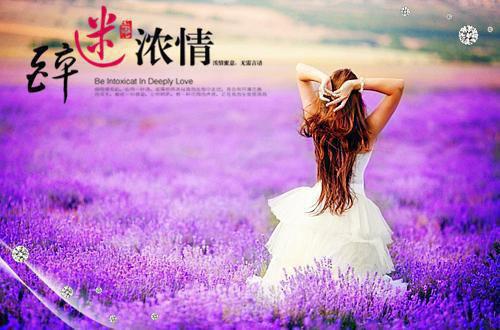 辛弃疾的诗词汇总