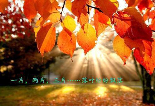 坠入十万大山消失后,仙君却追悔莫及沐清雪萧怜完本+(沐清雪萧怜)一口气阅读坠入十万大山消失后,仙君却追悔莫及沐清雪萧怜:结局+番外最新章节列表_笔趣阁(沐清雪萧怜)