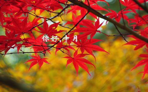 (番外)+(全文)我真的陪他淋过大雨：全文+番外下载阅读_(姜青黎靳寒夜)我真的陪他淋过大雨：全文+番外最新章节列表_笔趣阁（姜青黎靳寒夜）