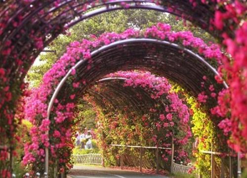 (番外)+(全文)孤月伴星眠小说免费阅读下载阅读_(裴楚钰孟初棠)孤月伴星眠小说免费阅读最新章节列表_笔趣阁(裴楚钰孟初棠)