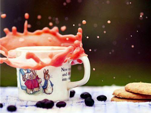 顾明修的小说出国倒计时：离婚后总裁妻子慌了顾明修全文阅读