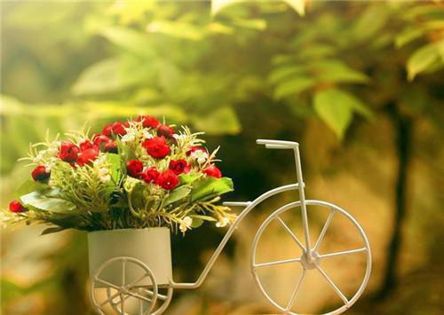 黄昏映入你眼眸（楚霖苏棠棠：结局+番外）完结阅读无弹窗大结局_(楚霖苏棠棠)最新章节列表_笔趣阁（黄昏映入你眼眸：结局+番外）