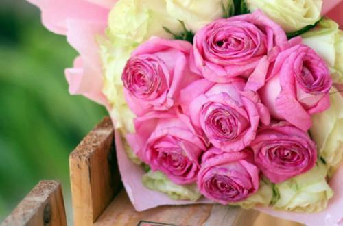 陈凡佟晓梅全章节_重回七零:知青媳妇送上门,我打猎养家小说阅读