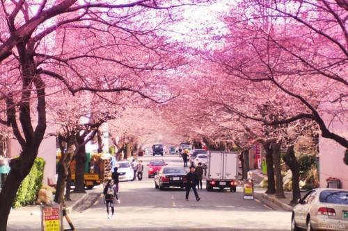 杏花涩雨落满枝:+后续+番外爱恨纠葛全文阅读(池聿凌姝)最新章节_杏花涩雨落满枝:+后续+番外爱恨纠葛全文阅读