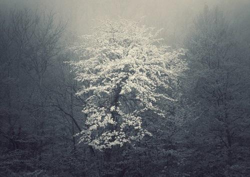 (番外)+(全文)季川南秋司南（爱恨随风起风止意已平）完整全文在线阅读_(季川南秋司南)最新章节列表_笔趣阁（爱恨随风起风止意已平）