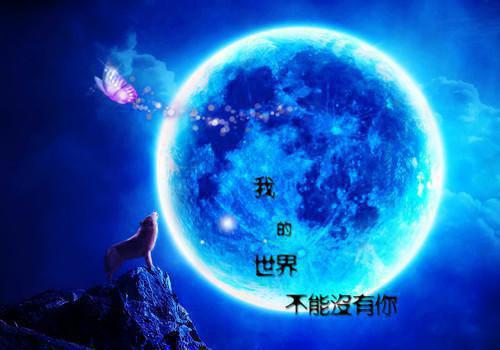 毕业论文自我鉴定评语
