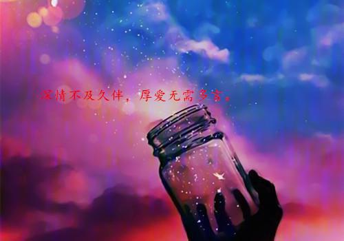 写荷花的抒情散文欣赏