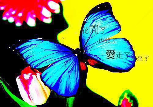 活色生香台词经典语录