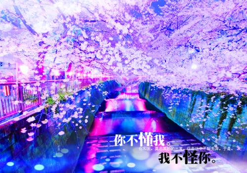 周序南的小说且歌且从容何芷薇在线周序南全文阅读