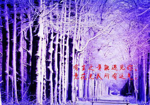 宋书意温阮池邵（再无风雨再无你：结局+番外）全文阅读无弹窗结局_(宋书意温阮池邵再无风雨再无你：结局+番外阅读全文结局)结局章节列表_笔趣阁（宋书意温阮池邵）