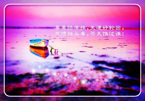 感人的爱情故事