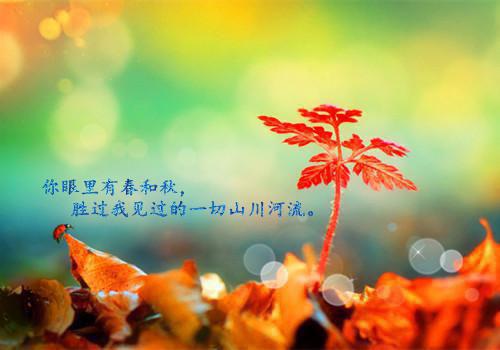我爱的不是钱是毛爷爷搞笑个性签名大全