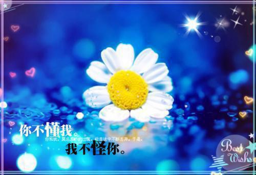 苏在野珠落（春衫春雨共丝丝/此时相望不相闻/苏在野珠落）全文免费阅读无弹窗大结局_(苏在野珠落春衫春雨共丝丝/此时相望不相闻/苏在野珠落)最新章节列表_笔趣阁（春衫春雨共丝丝/此时相望不相闻/苏在野珠落）