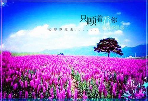 关于创业者名言