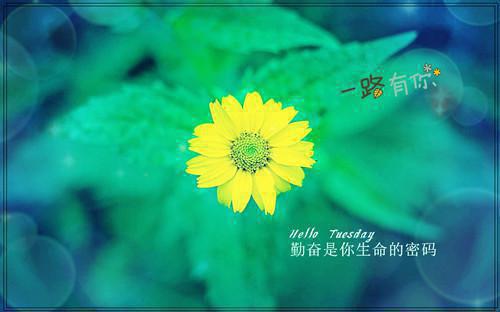 彻夜沦陷：结局+番外温柔秦彻小说_彻夜沦陷：结局+番外免费阅读