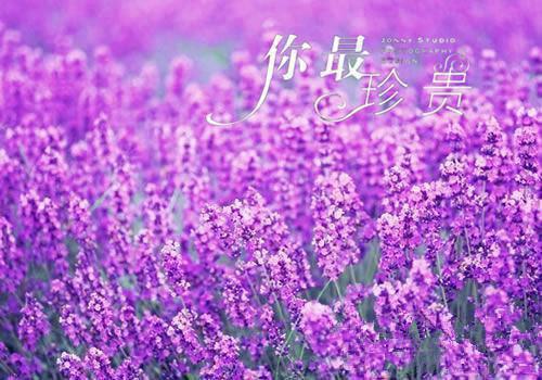 网恋失败后我成为国民女神：结局+番外（网恋失败后我成为国民女神：结局+番外）全文免费阅读无弹窗大结局_网恋失败后我成为国民女神：结局+番外（黎念江野）最新章节列表_笔趣阁（黎念江野）