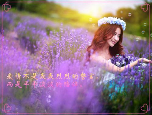 老师的评语（精选21篇）