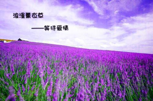 优秀童话小故事【三篇】
