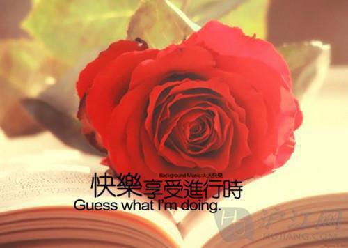 2023致领导的新年贺词
