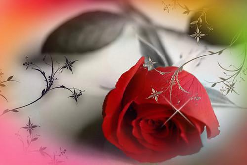 佚名的小说_在一起两年后,男友说他还是喜欢纯的: +后续+番外佚名 著周岚伊纪时安小说阅读