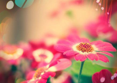 为给妹妹安胎，夫君要生剖我佛骨：+后续+结局（宋檀音段明渊）最新章节列表_为给妹妹安胎，夫君要生剖我佛骨：+后续+结局（宋檀音段明渊）全文在线阅读