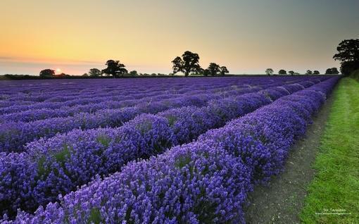 全网独家(沈瓷霍承砚:全文+后续)沈瓷霍承砚完整章节已完结阅读_沈瓷霍承砚:全文+后续最新章节列表_笔趣阁(沈瓷霍承砚)