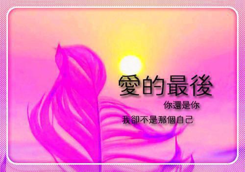 跳槽后，霸总他天天要挖我江知夏霍司临完结版全章节阅读