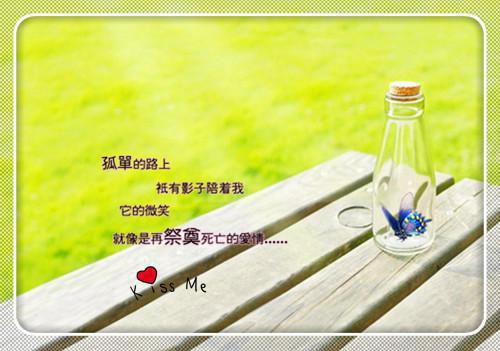 (千年此去不相逢：结局+番外)全文免费(姜枕意盛驰序)全文免费阅读无弹窗大结局_千年此去不相逢：结局+番外最新章节列表_笔趣阁姜枕意盛驰序