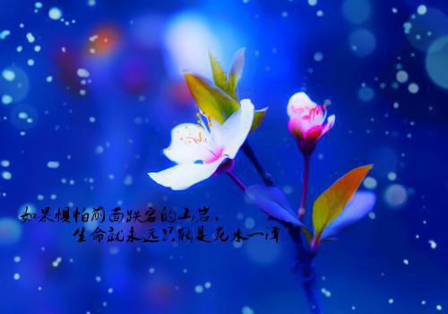 (番外)+(全文)一场大梦一场空纪黛宁：结局+番外(纪黛宁傅谨怀)小说最新列表_一场大梦一场空纪黛宁：结局+番外(纪黛宁傅谨怀)全文阅读无弹窗一场大梦一场空纪黛宁：结局+番外