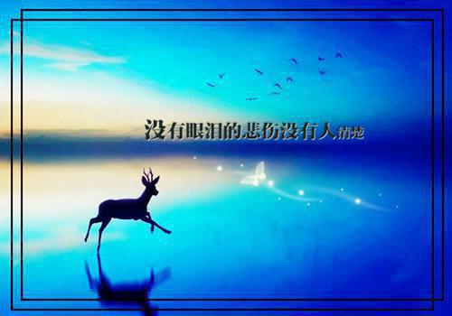 中班老师评语