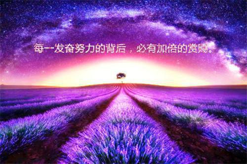 我真不知她是女帝师苏淮山柳映荷苏霆舟小说_我真不知她是女帝师完结版阅读