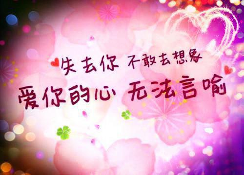 霍北凛的小说_霍总，太太又去民政局排队了后续结局霍北凛小说阅读