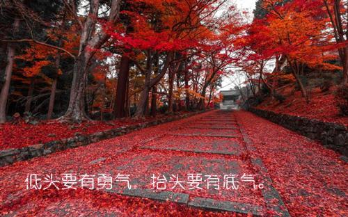 最新古尔邦节祝福的温馨话