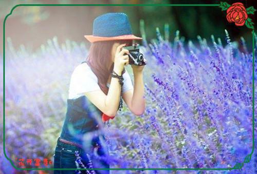 与君一见误狐心：番外+后续景离重白曦瑶全文免费与君一见误狐心：番外+后续免费阅读无弹窗大结局小说完结版与君一见误狐心：番外+后续在线阅读