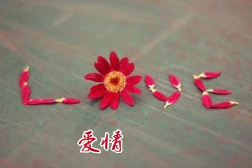 暖男哄女生开心的感人情话