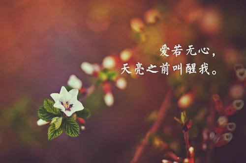 月儿弯弯