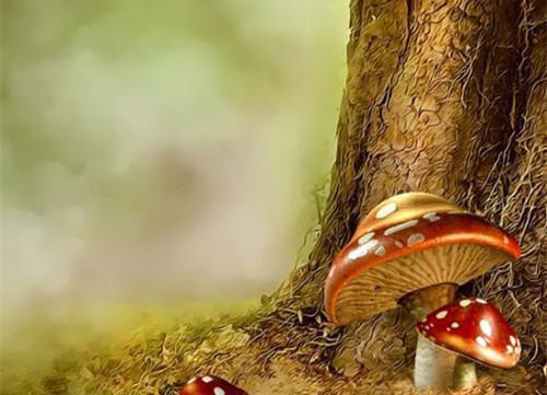 初一差生班主任评语精选