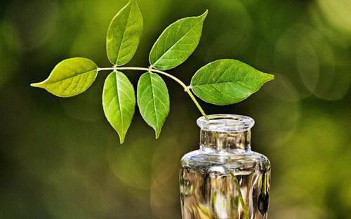 云渺（有怨报怨，我是黄泉摆渡人结局+番外）完结阅读无弹窗大结局_云渺最新章节列表_笔趣阁（有怨报怨，我是黄泉摆渡人结局+番外）