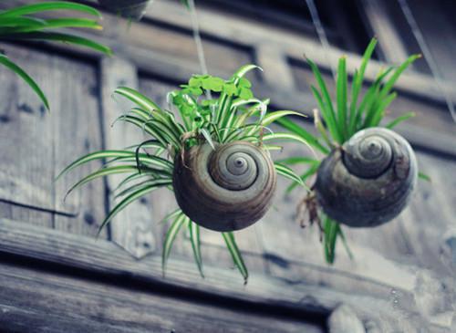 青色似玉月如钩沈寒声谢语乔：全文+结局+番外免费阅读完结版全文_沈寒声谢语乔最新章节无弹窗_笔趣阁（青色似玉月如钩沈寒声谢语乔：全文+结局+番外）